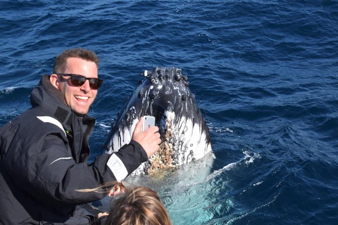 Sydney Whale-Watching by Speed Boat - Timing, cancellation, and practical planning