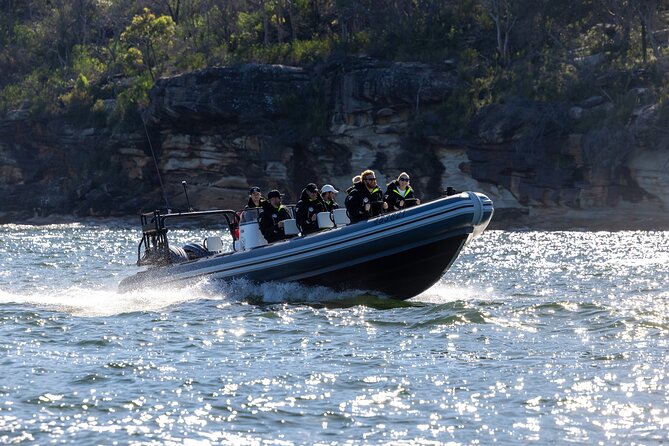 Sydney Whale Watching on Small RIB - Why the 12-passenger RIB changes the experience