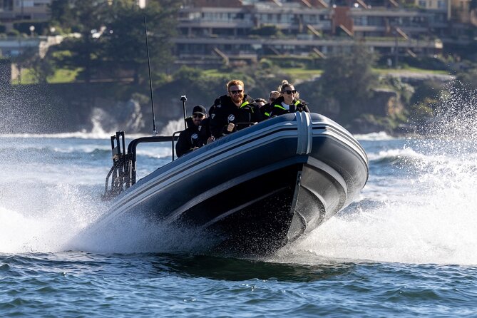 Sydney Whale Watching on Small RIB - Around 85 minutes in the whale search area