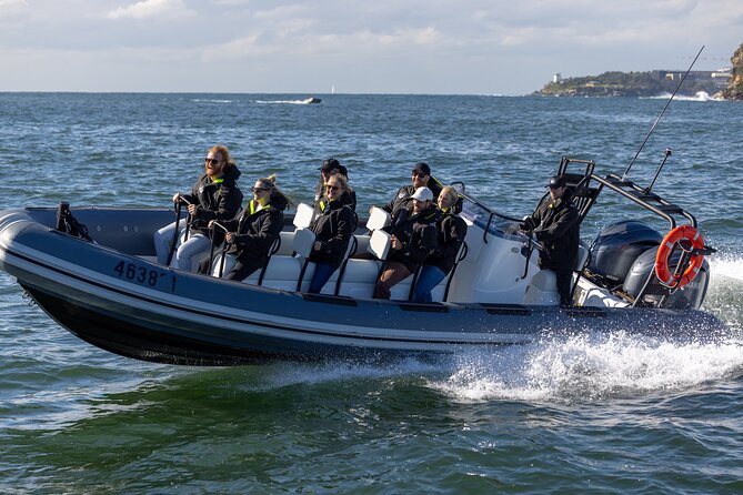 Sydney Whale Watching on Small RIB - What the price gives you at $98.93