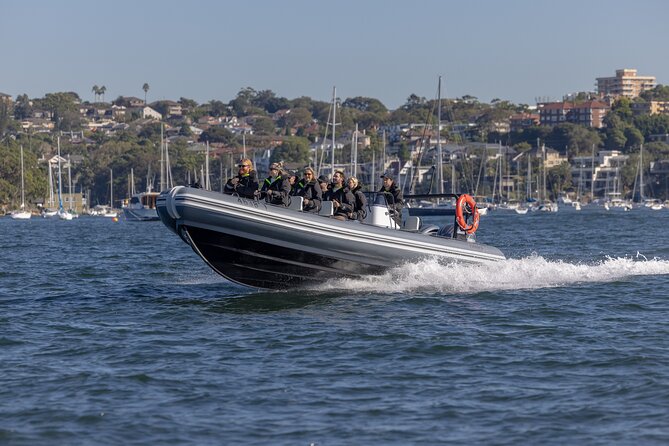 Sydney Whale Watching on Small RIB - Who will enjoy this trip most