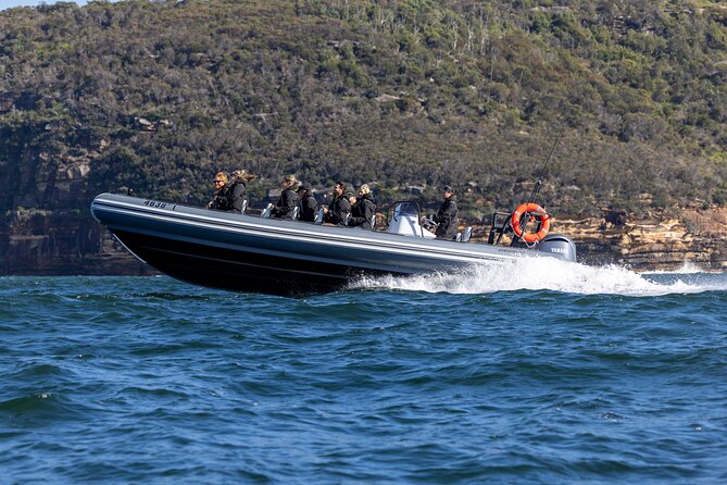 Sydney Whale Watching on Small RIB - Practical planning before you book