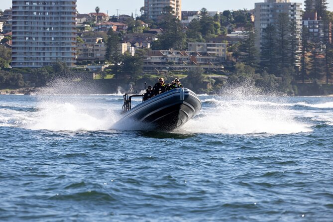 Sydney Whale Watching on Small RIB - Is Sydney Whale Watching on Small RIB worth booking?