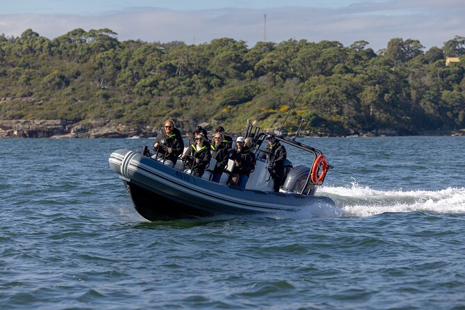 Sydney Whale Watching on Small RIB - Campbells Cove to Sydney Heads