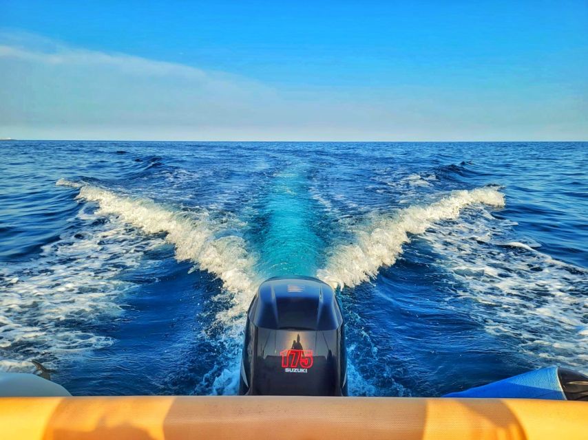 Taggia: Sanremo Sightseeing Speedboat Tour with Swim Stops - Who will get the most from this outing