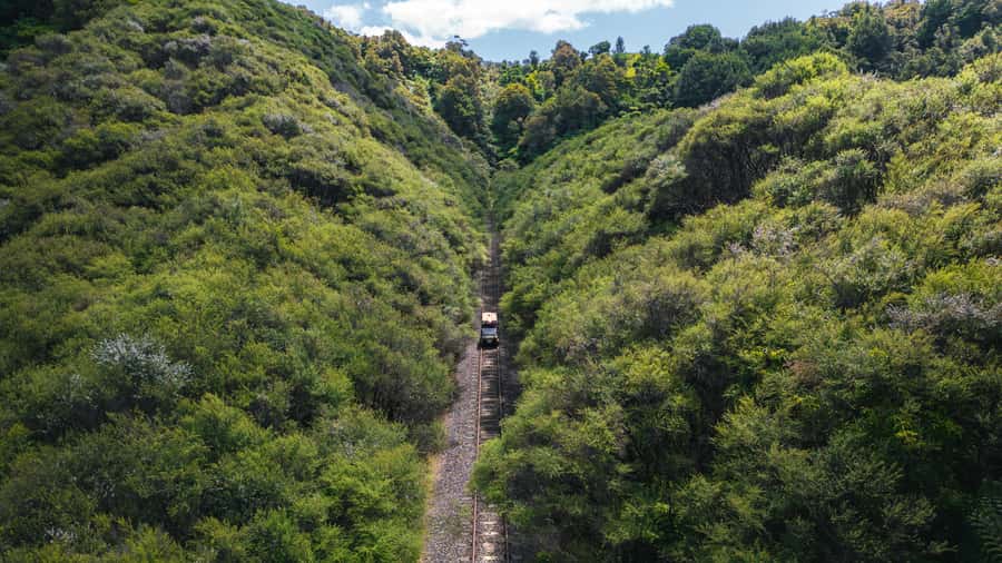 Taumarunui: Railcart and Jetboat Adventure with lunch - Key points at a glance