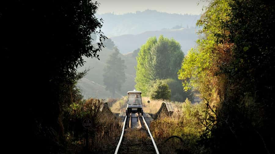 Taumarunui: Railcart and Jetboat Adventure with lunch - Starting at the Forgotten World Motel