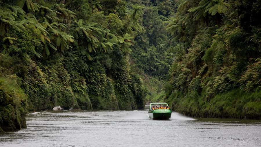 Taumarunui: Railcart and Jetboat Adventure with lunch - Morning tea in historic Matiere