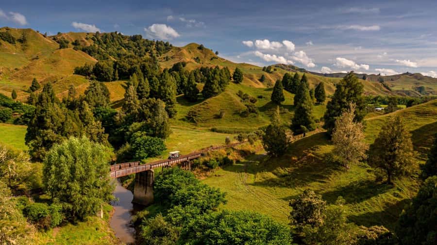 Taumarunui: Railcart and Jetboat Adventure with lunch - Riding the old tracks from Okahukura