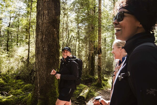 Te Anau Jetboat Experience, Kepler Guided Hike, Transport & Lunch - Why this boat-and-hike combination works