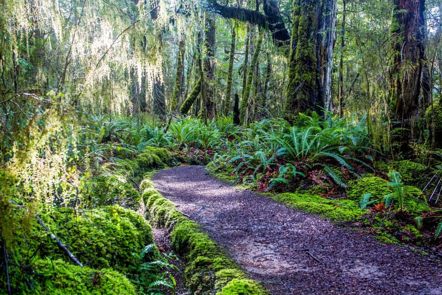 Te Anau: River Jet Boat and Bike Ride Tour with Local Guide - Weather, rain, and changing plans