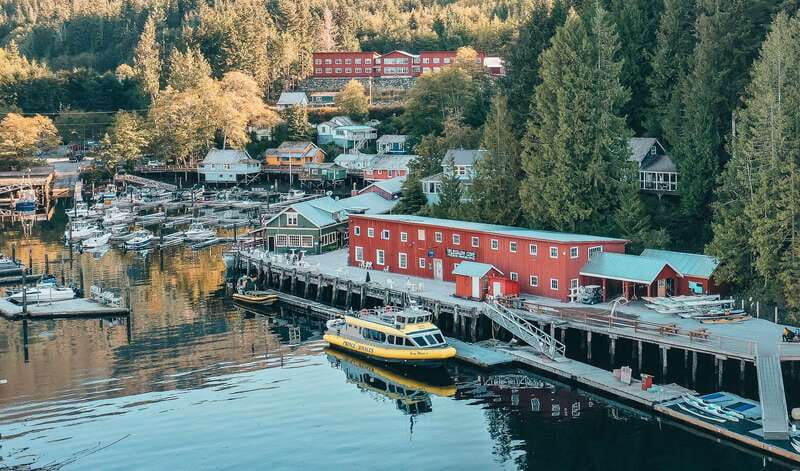 Telegraph Cove: 3-Hour Whale Watching Tour in a Zodiac Boat - Setting out from Telegraph Cove