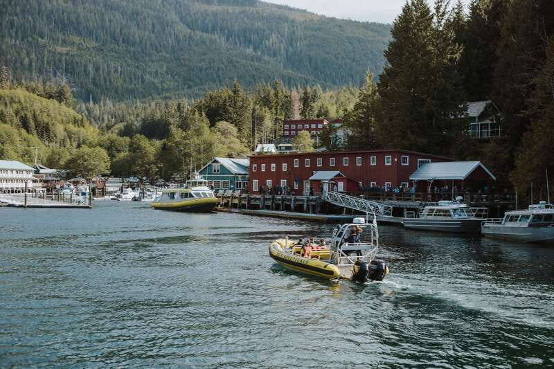 Telegraph Cove: 3-Hour Whale Watching Tour in a Zodiac Boat - Guides who make the difference