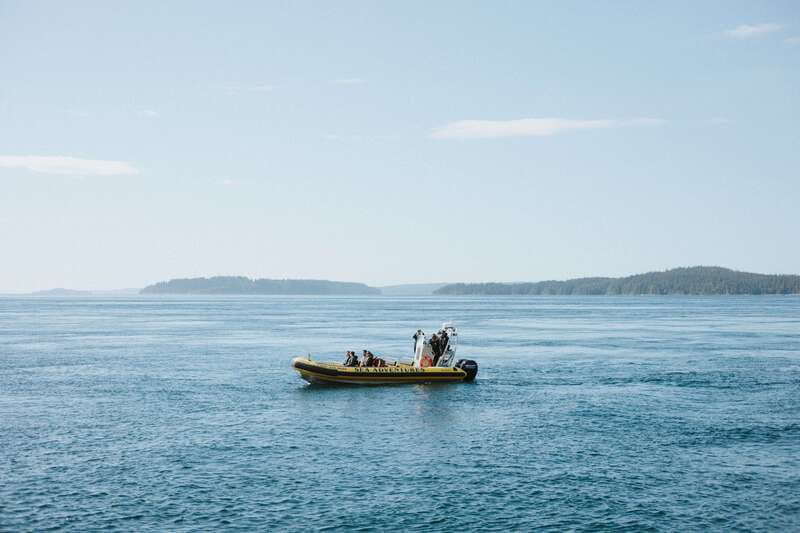 Telegraph Cove: 3-Hour Whale Watching Tour in a Zodiac Boat - Who will enjoy this most