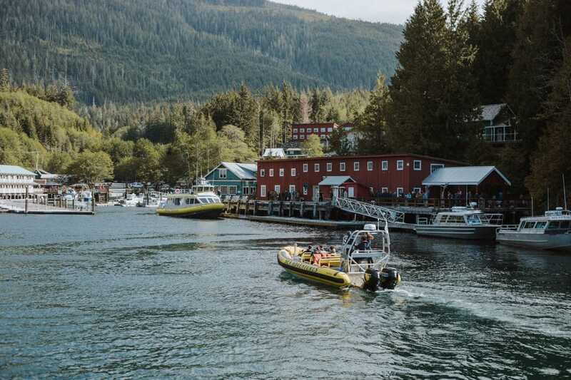 Telegraph Cove: 3-Hour Whale Watching Tour in a Zodiac Boat - Should you book the Telegraph Cove Zodiac tour?
