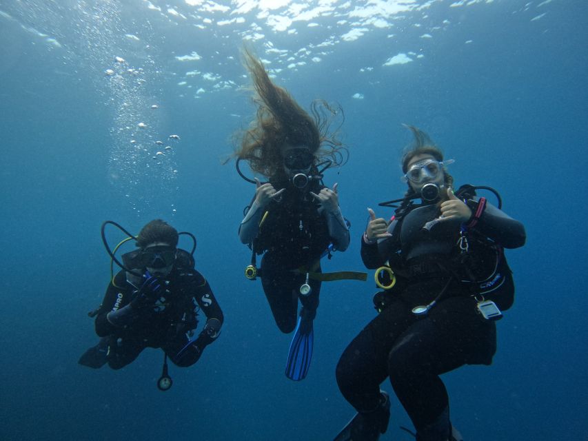 Tenerife: Puerto Colon Certified Scuba Dive by Speed Boat - Key points to know before you book