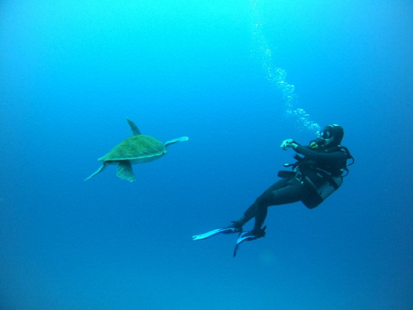 Tenerife: Puerto Colon Certified Scuba Dive by Speed Boat - Choosing a site along Tenerife’s south coast