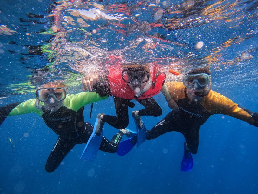 Tenerife: Puerto Colon Snorkel Safari by Speed Boat - Is $53 a fair price for this Puerto Colón outing?