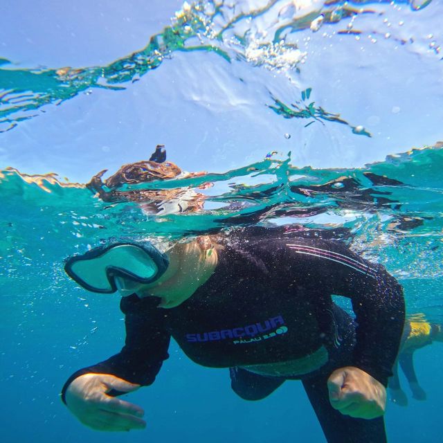 Tenerife: Puerto Colon Snorkel Safari by Speed Boat - Who will enjoy this speed boat snorkeling trip?