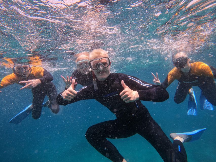 Tenerife: Puerto Colon Snorkel Safari by Speed Boat - Around 50 minutes in a secluded bay
