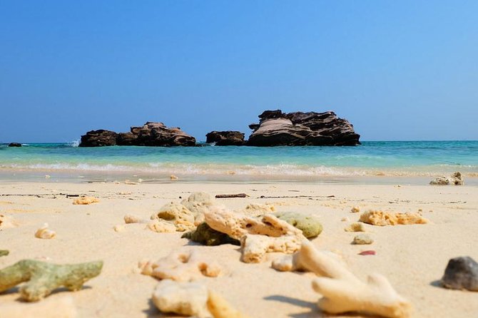 The Best Phuket 3 Islands Snorkeling Tour By Speedboat - Who will get the most from this tour