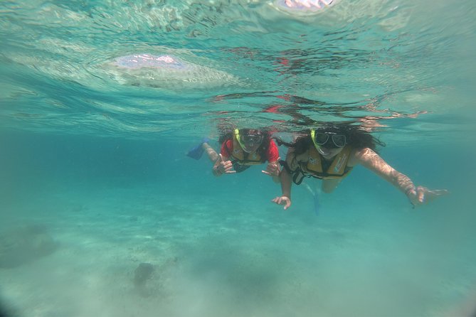 The most Intrepid Speedboat Adventure in Cancun Snorkel included - The transport question deserves attention