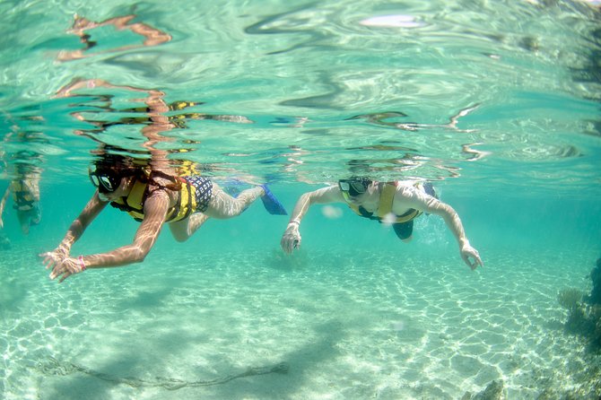 The most Intrepid Speedboat Adventure in Cancun Snorkel included - Who will enjoy this Cancun excursion