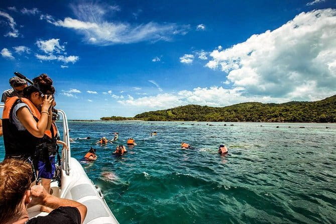 The Pigs Island snorkeling trip from Koh Samui by Speedboat - Koh Madsum for swimming and beach time