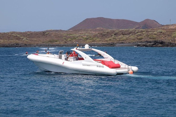 The Worlds Largest RIB luxury 3hrs including lunch and drinks - Watching pilot whales, dolphins, and turtles