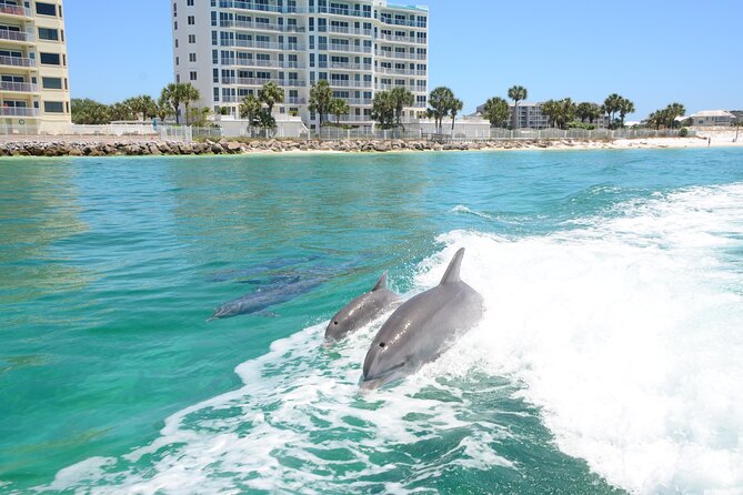 Thriller Speedboat Dolphin Tours in Destin Florida - Why the Thriller boat feels different
