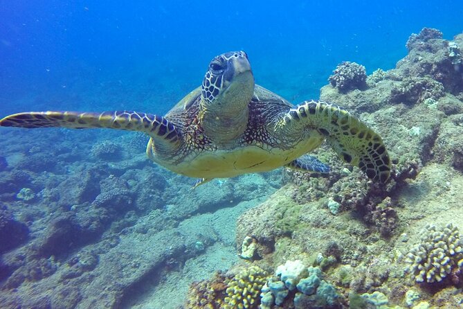 Ultimate Na Pali Coast Zodiac Boat Snorkeling and Sea Cave Tour - Entering sea caves when conditions allow
