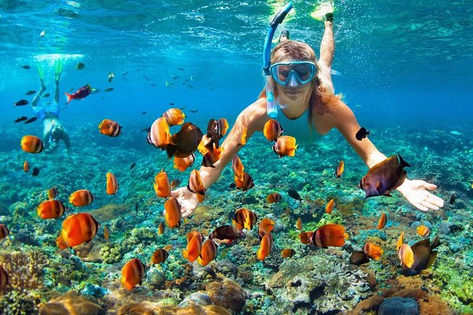 V.I.P Snorkeling & Fishing Tour ( Speed Boat ) Minimum 02 people - The small group and speedboat make a difference