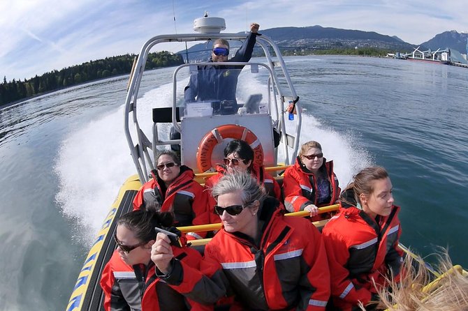 Vancouver City and Harbour Waterfront Sightseeing Boat Tour - Wildlife without a whale-watching promise