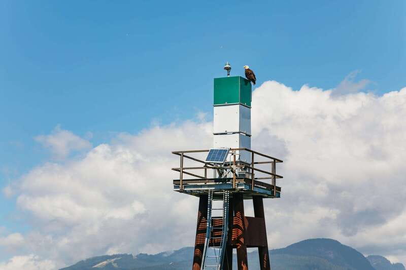 Vancouver: Indian Arm and Granite Falls Zodiac Boat Tour - Who should book this Zodiac tour?