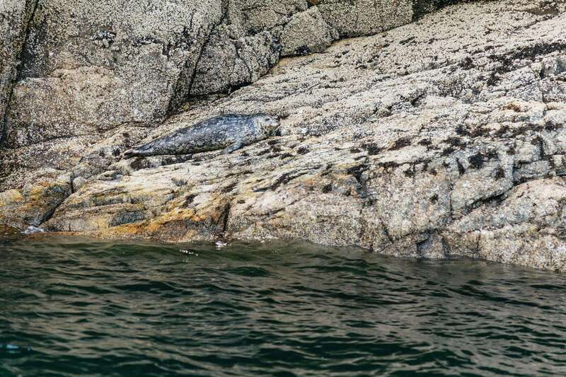 Vancouver: Indian Arm and Granite Falls Zodiac Boat Tour - Indian Arm brings the real wilderness feeling