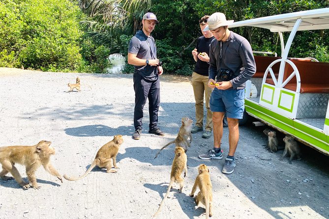 VIP Tour in Vam Sat: Can Gio Mangrove Forest by SpeedBoat - Lunch, bakery treats, and the practical comforts