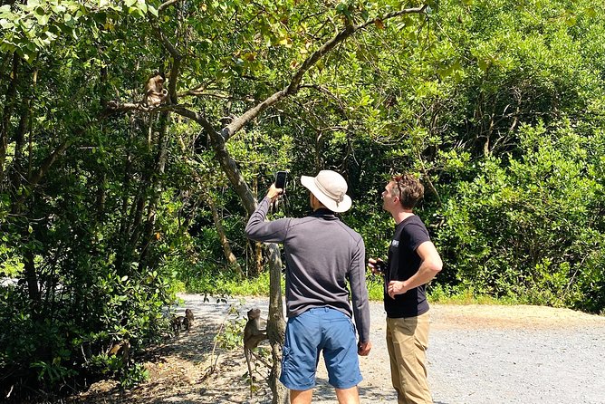 VIP Tour in Vam Sat: Can Gio Mangrove Forest by SpeedBoat - Weather, clothing, and timing advice