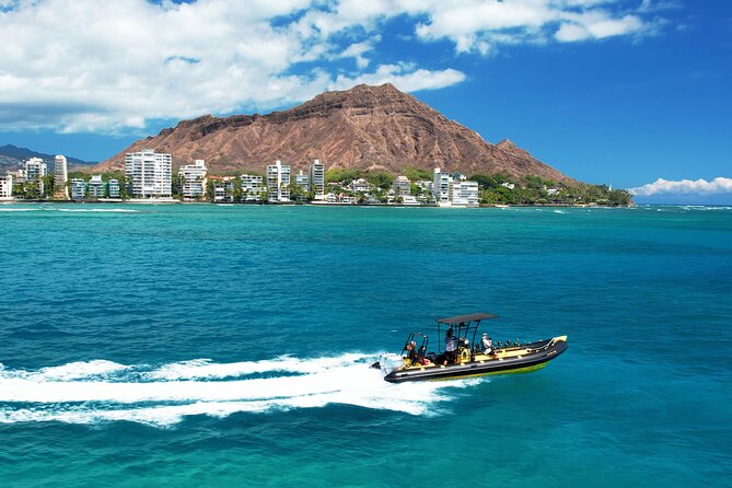 Whale Watching Adventure -Speed Boat & Small Group - Why a six-person boat changes the experience