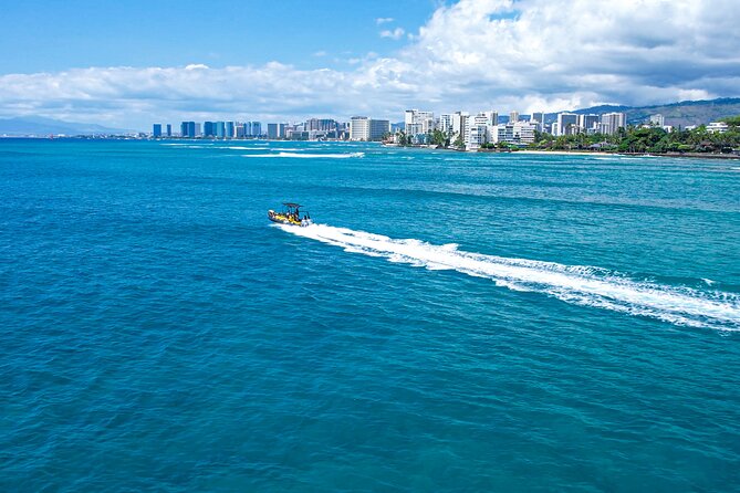 Whale Watching Adventure -Speed Boat & Small Group - Snacks, drinks, and the practical comforts