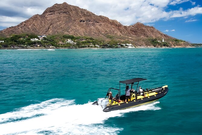Whale Watching Adventure -Speed Boat & Small Group - Who will enjoy this most?