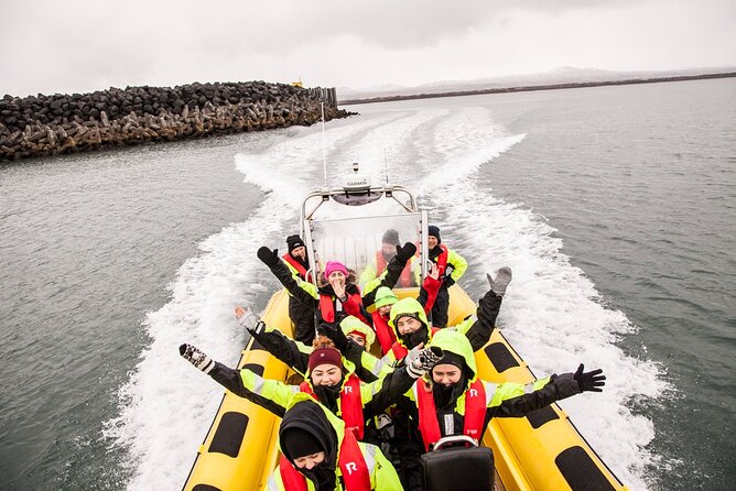 Whale Watching by RIB Speedboat from Downtown Reykjavik - What makes this RIB trip different