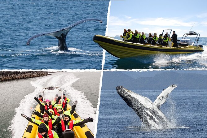 Whale Watching by RIB Speedboat from Downtown Reykjavik - The RIB ride across Faxaflói Bay