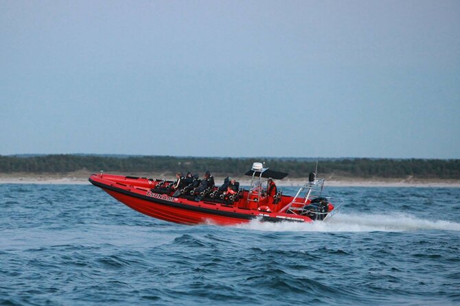 Whale Watching by RIB Speedboat from Downtown Reykjavik - What a successful outing can look like
