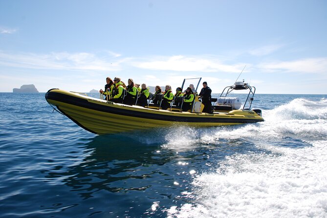 Whale Watching by RIB Speedboat from Downtown Reykjavik - Who will enjoy this boat most