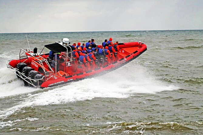 Whale Watching by RIB Speedboat from Downtown Reykjavik - Searching Faxaflói for whales and dolphins