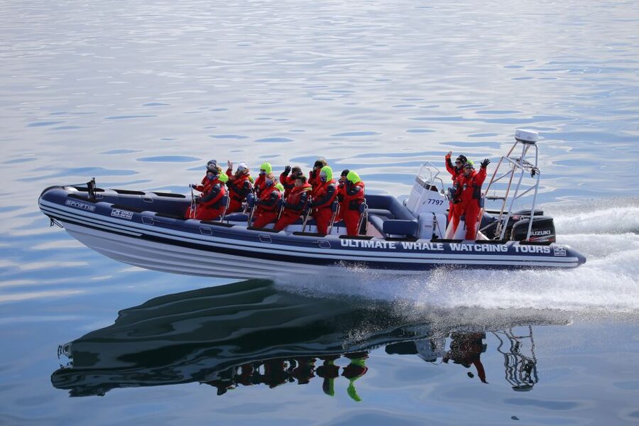 Whale Watching in Reykjavik by Speedboat - Starting at Reykjavik Old Harbour