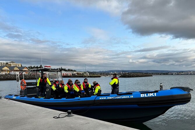 Whale Watching - RIB Boat Adventure in Kopavogur, Iceland - From Kópavogur harbor to the open Atlantic