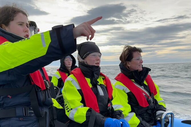 Whale Watching - RIB Boat Adventure in Kopavogur, Iceland - About an hour searching for whales and dolphins