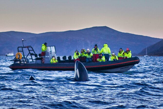 Whale Watching RIB Boat Tour in Skjervoy from Tromso - The four-hour road to Skjervoy