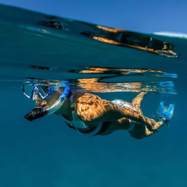 Zadar: 3 Island Speedboat Tour & Blue Bay Swim with Drinks - The guides make the difference
